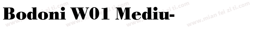 Bodoni W01 Mediu字体转换